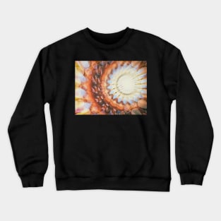 Splendor Crewneck Sweatshirt